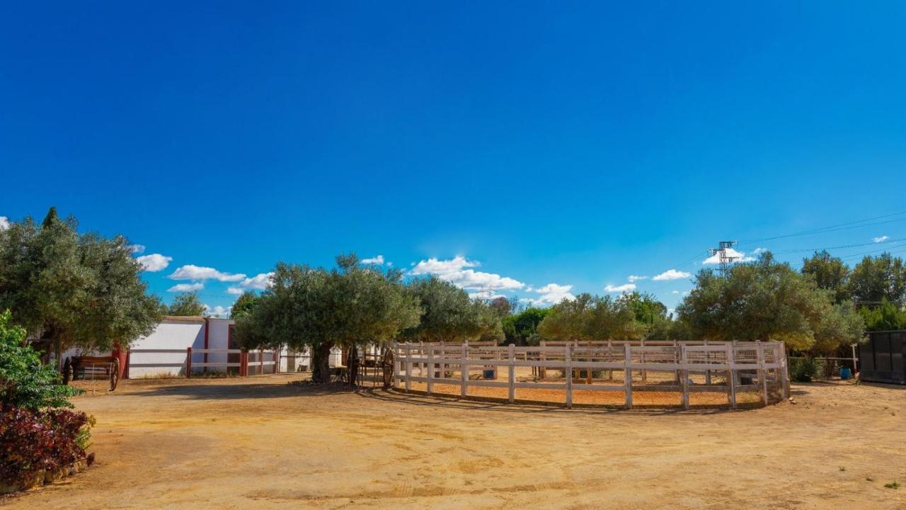 Finca la Cañera Alcalá de Guadaira by Ruralidays Exterior foto